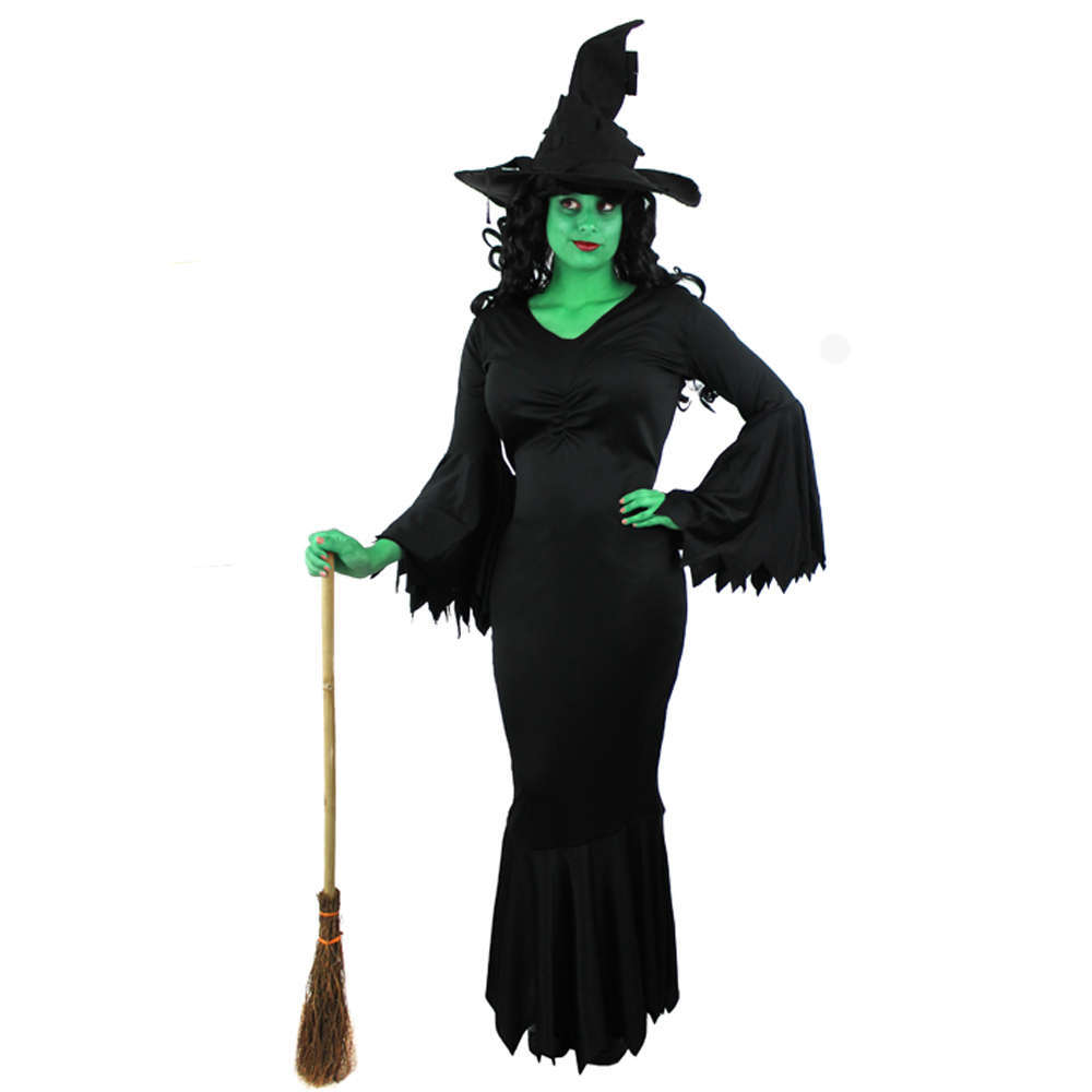 Wicked Witch Halloween Costume I Love Fancy Dress 5319